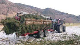 Rückewagen beladen Heckansicht
